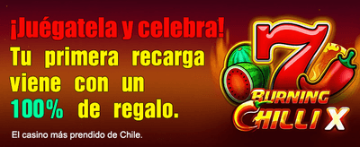Soporte de agente de casino bitcoin